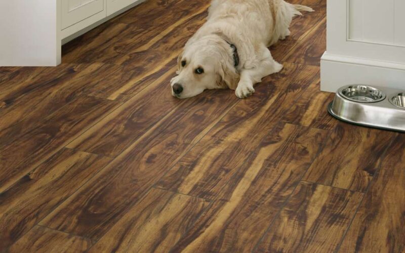An image of a wood look floor with detailed veining and white cabinets with a Golden Retriever laying on the floor.