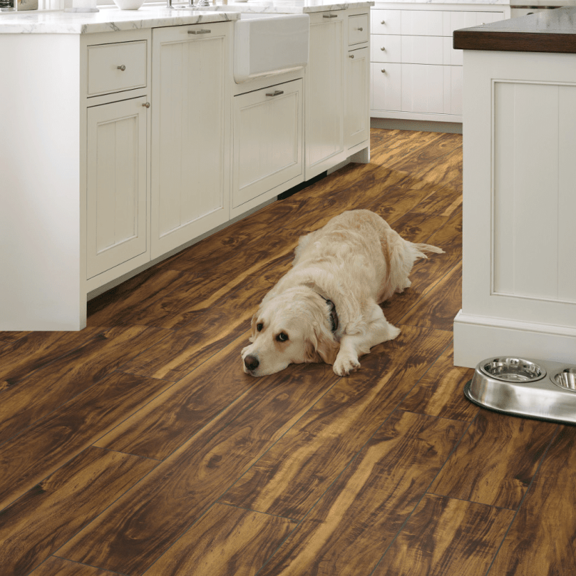 Vinyl flooring | The Carpet Shoppe
